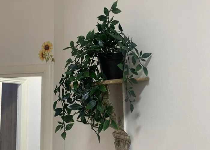 Apartment Casa Girasole *
